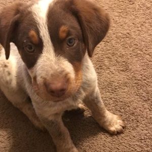 Meet your Posher, Cacaitlynn